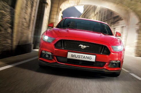 mustang